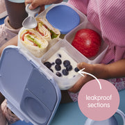 mini lunchbox - night vision